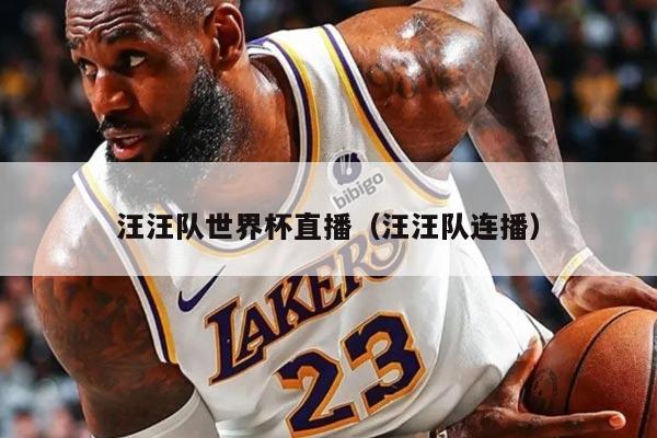 汪汪隊(duì)世界杯直播（汪汪隊(duì)連播）