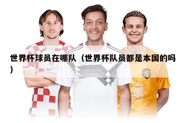 世界杯球員在哪隊(duì)（世界杯隊(duì)員都是本國(guó)的嗎）