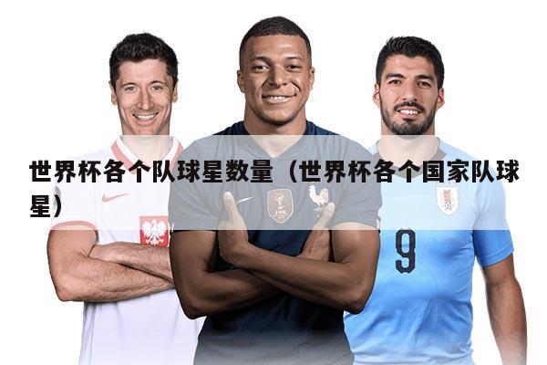 世界杯各個隊球星數(shù)量（世界杯各個國家隊球星）