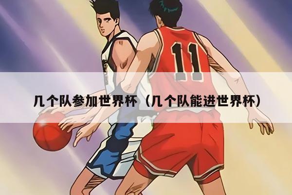 幾個(gè)隊(duì)參加世界杯（幾個(gè)隊(duì)能進(jìn)世界杯）