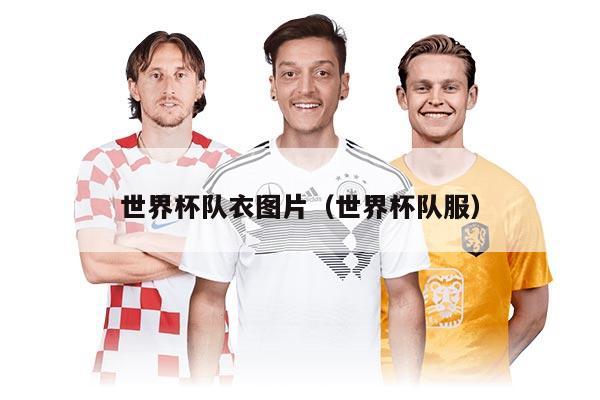 世界杯隊(duì)衣圖片（世界杯隊(duì)服）