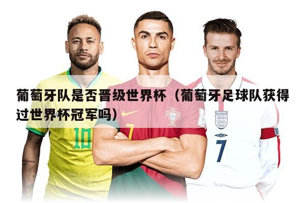 葡萄牙隊是否晉級世界杯（葡萄牙足球隊獲得過世界杯冠軍嗎）