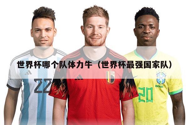 世界杯哪個(gè)隊(duì)體力牛（世界杯最強(qiáng)國(guó)家隊(duì)）