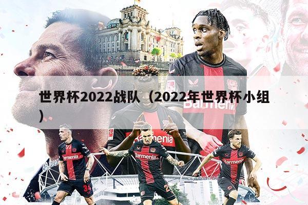 世界杯2022戰(zhàn)隊（2022年世界杯小組）