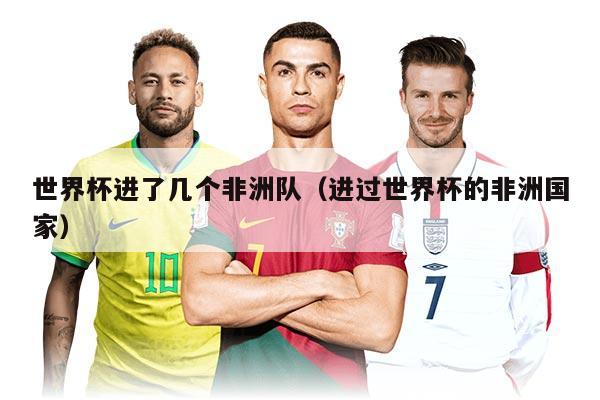 世界杯進了幾個非洲隊（進過世界杯的非洲國家）