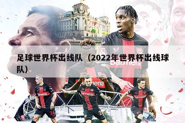 足球世界杯出線隊（2022年世界杯出線球隊）