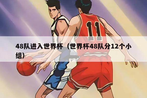 48隊(duì)進(jìn)入世界杯（世界杯48隊(duì)分12個(gè)小組）