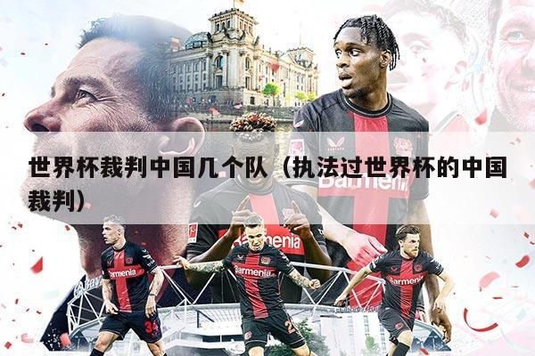 世界杯裁判中國(guó)幾個(gè)隊(duì)（執(zhí)法過(guò)世界杯的中國(guó)裁判）