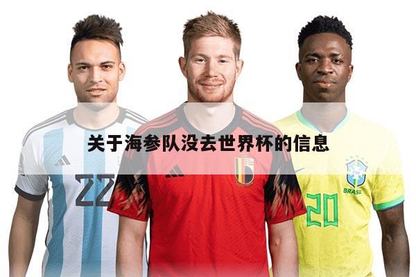 關(guān)于海參隊(duì)沒(méi)去世界杯的信息