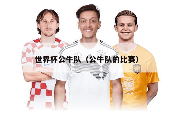 世界杯公牛隊(duì)（公牛隊(duì)的比賽）