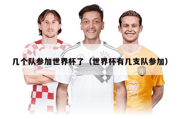 幾個(gè)隊(duì)參加世界杯了（世界杯有幾支隊(duì)參加）
