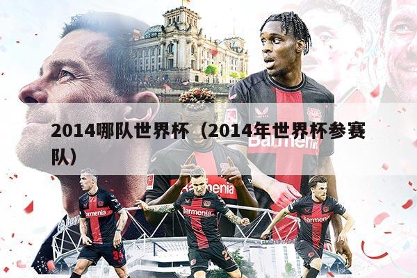 2014哪隊世界杯（2014年世界杯參賽隊）