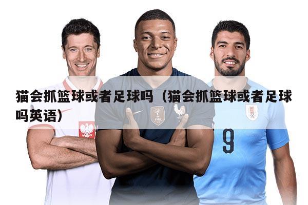 貓會抓籃球或者足球嗎（貓會抓籃球或者足球嗎英語）
