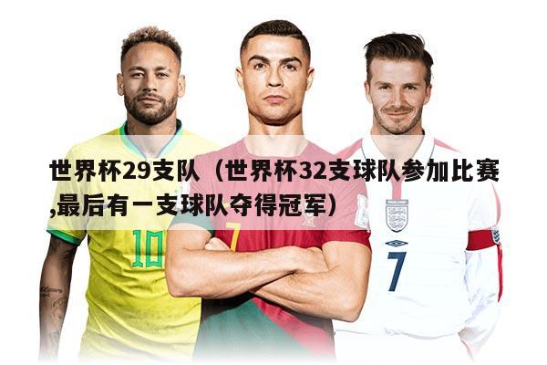 世界杯29支隊（世界杯32支球隊參加比賽,最后有一支球隊奪得冠軍）