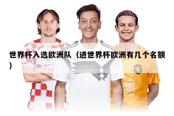 世界杯入選歐洲隊（進世界杯歐洲有幾個名額）