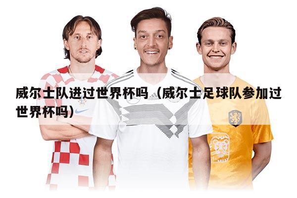 威爾士隊進過世界杯嗎（威爾士足球隊參加過世界杯嗎）