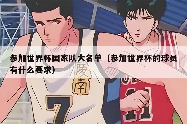 參加世界杯國家隊大名單（參加世界杯的球員有什么要求）