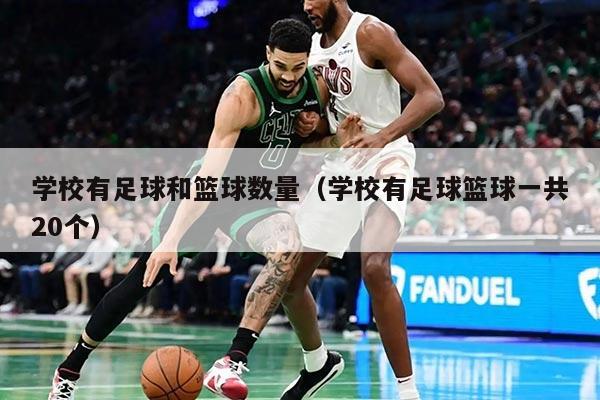 學校有足球和籃球數量（學校有足球籃球一共20個）