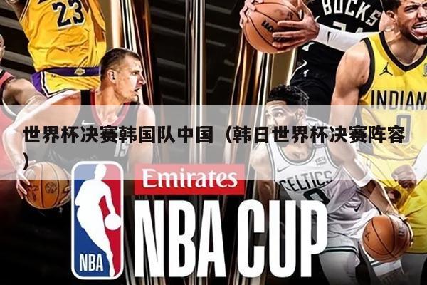 世界杯決賽韓國隊中國（韓日世界杯決賽陣容）