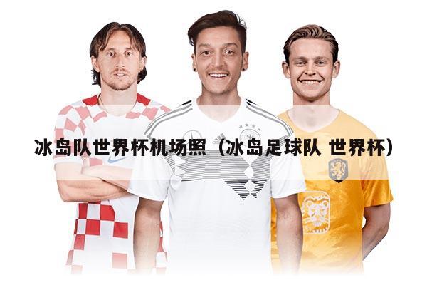 冰島隊世界杯機場照（冰島足球隊 世界杯）