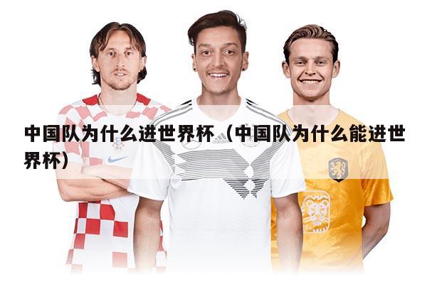 中國(guó)隊(duì)為什么進(jìn)世界杯（中國(guó)隊(duì)為什么能進(jìn)世界杯）