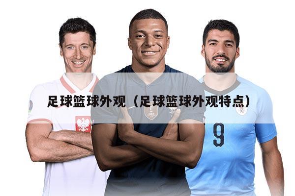 足球籃球外觀（足球籃球外觀特點）