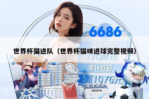 世界杯貓進(jìn)隊(duì)（世界杯貓咪進(jìn)球完整視頻）