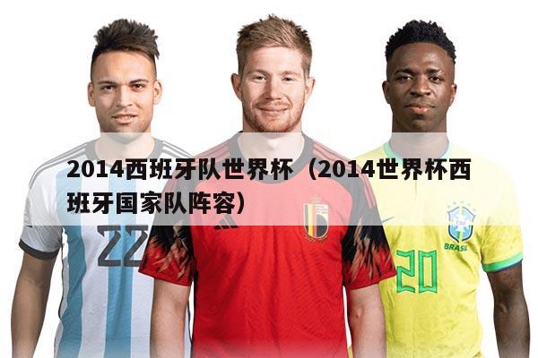 2014西班牙隊(duì)世界杯（2014世界杯西班牙國(guó)家隊(duì)陣容）