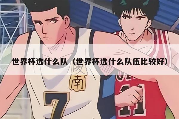 世界杯選什么隊（世界杯選什么隊伍比較好）
