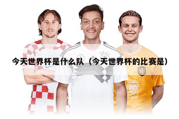 今天世界杯是什么隊（今天世界杯的比賽是）