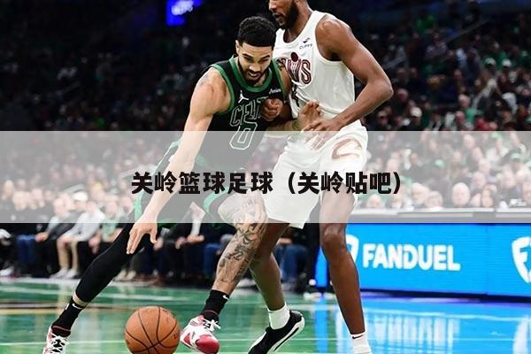 關(guān)嶺籃球足球（關(guān)嶺貼吧）