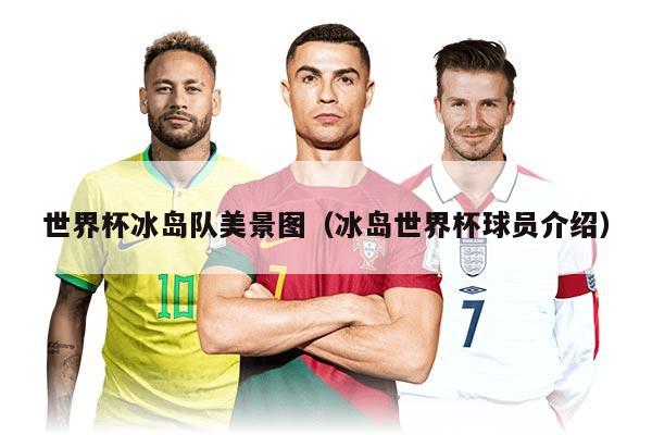 世界杯冰島隊(duì)美景圖（冰島世界杯球員介紹）