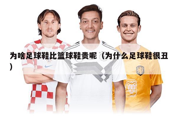 為啥足球鞋比籃球鞋貴呢（為什么足球鞋很丑）