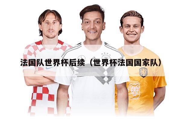 法國隊世界杯后續(xù)（世界杯法國國家隊）
