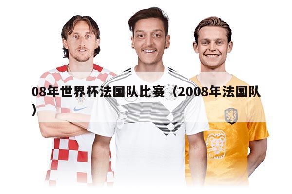 08年世界杯法國隊比賽（2008年法國隊）