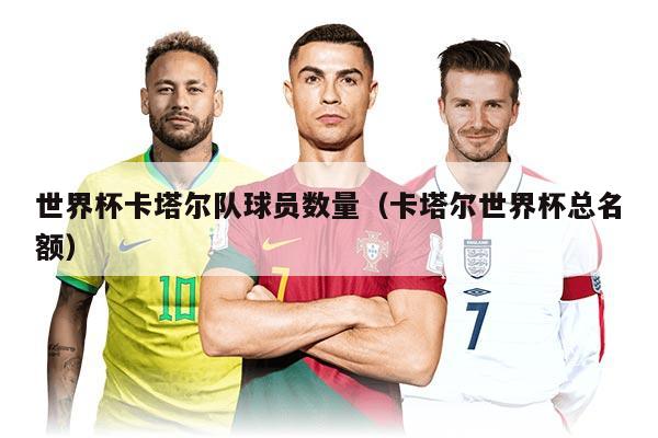 世界杯卡塔爾隊球員數(shù)量（卡塔爾世界杯總名額）