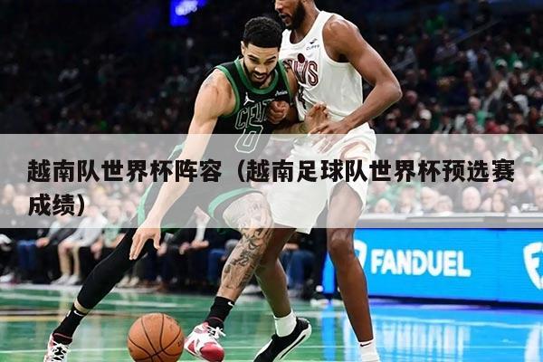 越南隊世界杯陣容（越南足球隊世界杯預(yù)選賽成績）