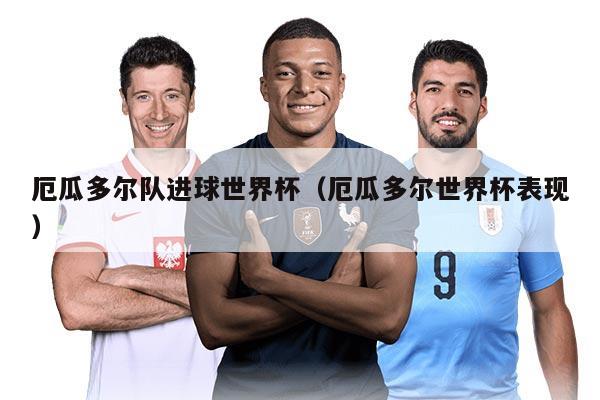 厄瓜多爾隊(duì)進(jìn)球世界杯（厄瓜多爾世界杯表現(xiàn)）