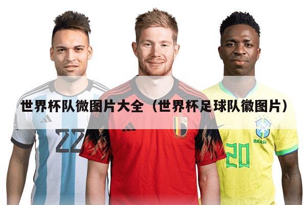 世界杯隊(duì)微圖片大全（世界杯足球隊(duì)徽?qǐng)D片）