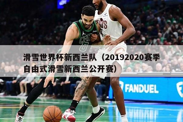 滑雪世界杯新西蘭隊(duì)（20192020賽季自由式滑雪新西蘭公開賽）