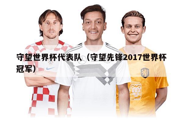 守望世界杯代表隊(duì)（守望先鋒2017世界杯冠軍）