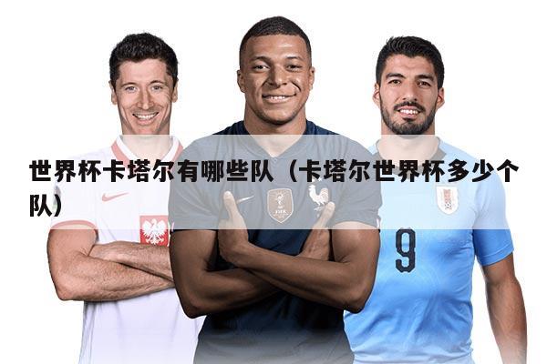 世界杯卡塔爾有哪些隊(duì)（卡塔爾世界杯多少個(gè)隊(duì)）