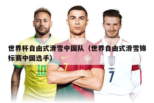 世界杯自由式滑雪中國隊(duì)（世界自由式滑雪錦標(biāo)賽中國選手）