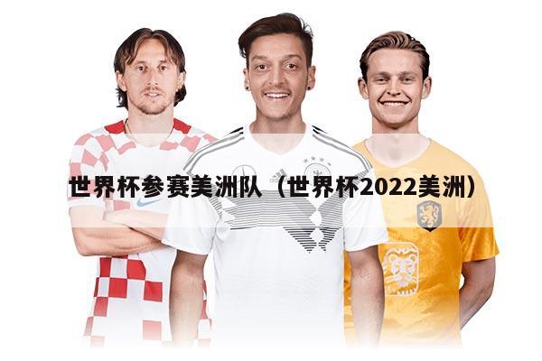 世界杯參賽美洲隊（世界杯2022美洲）