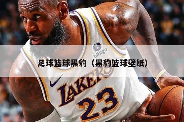 足球籃球黑豹（黑豹籃球壁紙）