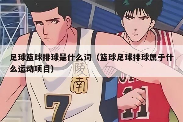 足球籃球排球是什么詞（籃球足球排球?qū)儆谑裁催\(yùn)動項(xiàng)目）