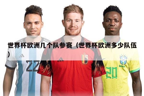 世界杯歐洲幾個隊參賽（世界杯歐洲多少隊伍）