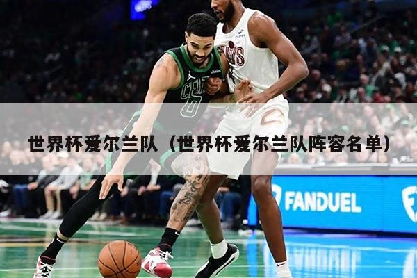 世界杯愛爾蘭隊(duì)（世界杯愛爾蘭隊(duì)陣容名單）