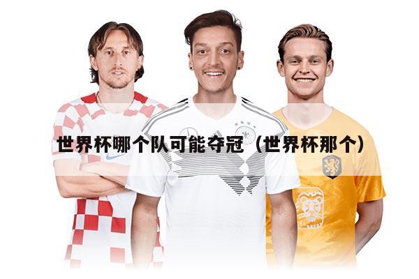 世界杯哪個隊可能奪冠（世界杯那個）