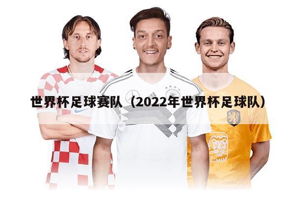 世界杯足球賽隊（2022年世界杯足球隊）